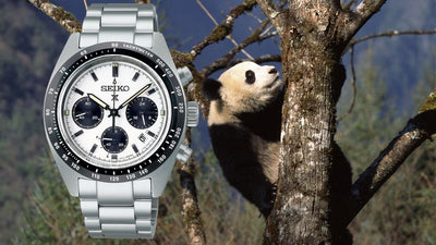 Tutto quello che devi sapere sugli orologi Panda
